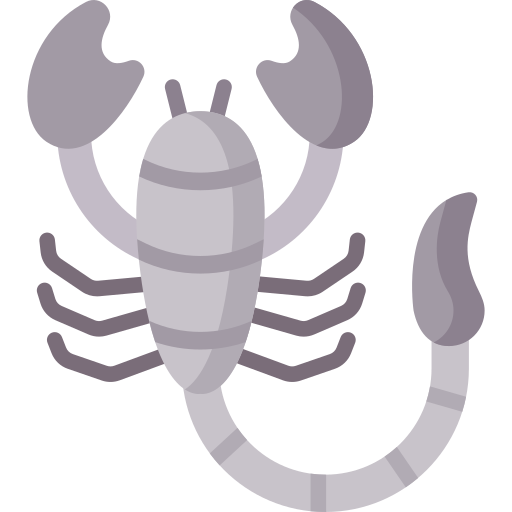 Scorpion Special Flat icon