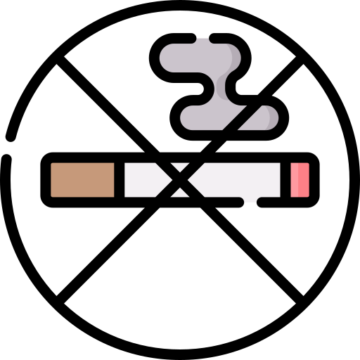 vietato fumare Special Lineal color icona