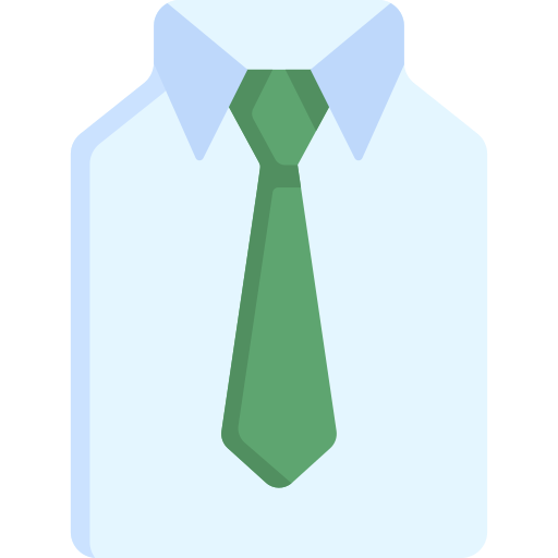 Shirt Special Flat icon