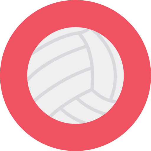 Волейбол Dinosoft Circular иконка