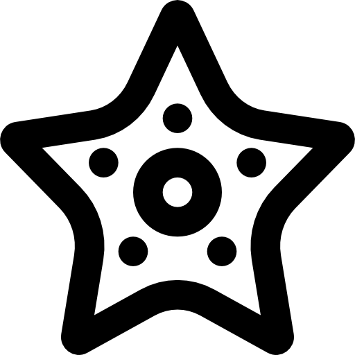 estrella de mar Basic Black Outline icono