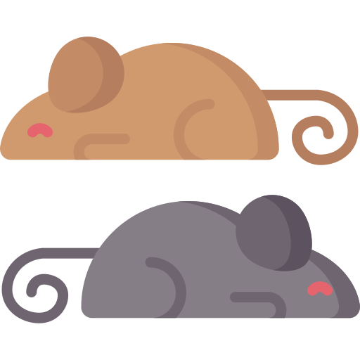Животные Special Flat иконка