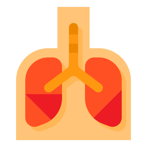 płuco itim2101 Flat ikona