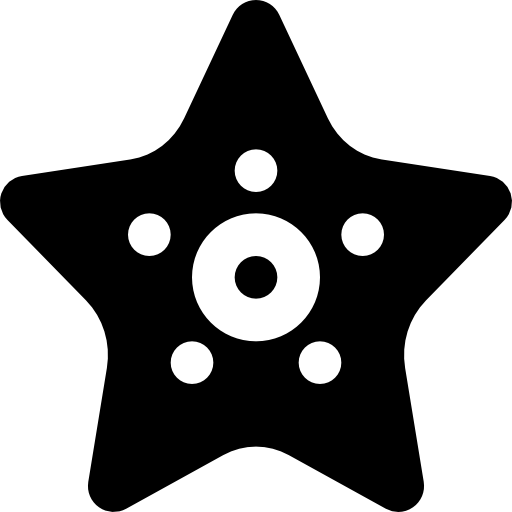estrela do mar Basic Black Solid Ícone
