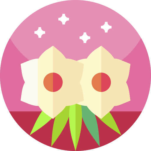 Flower Geometric Flat Circular Flat icon