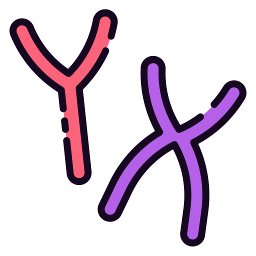 chromosoom Good Ware Lineal Color icoon