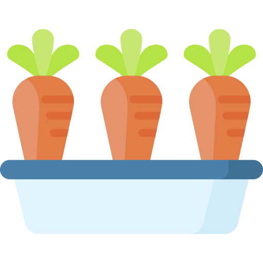 wortel Special Flat icoon