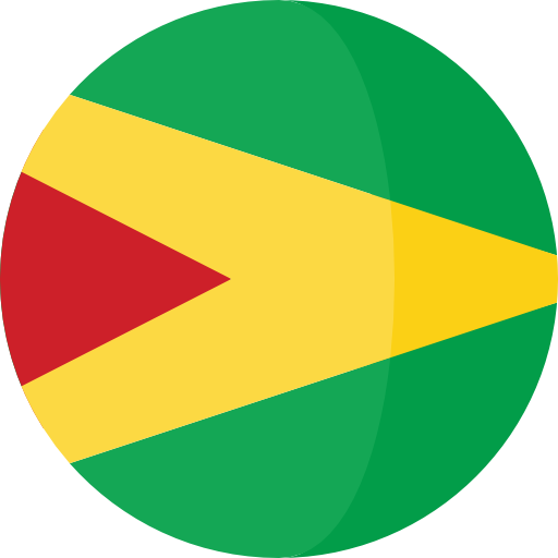 Guyana Roundicons Circle flat icon