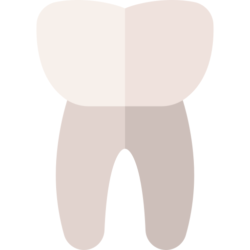 Premolar Basic Straight Flat icon