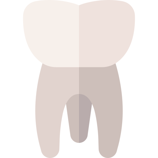 molare Basic Straight Flat icona