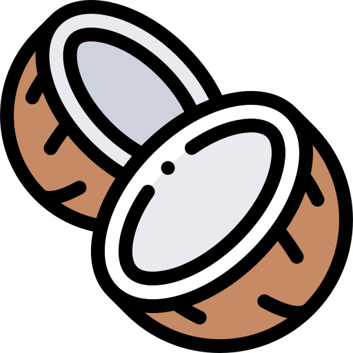 Coconut Detailed Rounded Lineal color icon