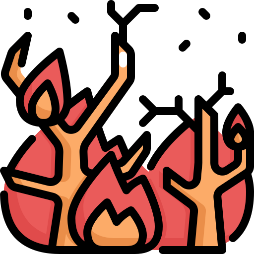 fuego fatuo Generic Outline Color icono