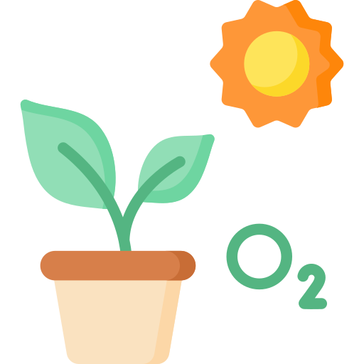 Photosynthesis Special Flat icon