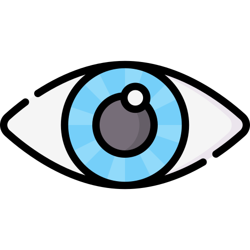 auge Special Lineal color icon