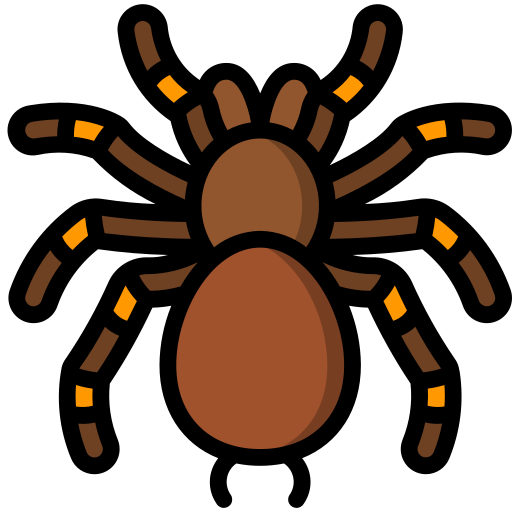 Spider Basic Miscellany Lineal Color icon