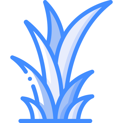 pianta Basic Miscellany Blue icona