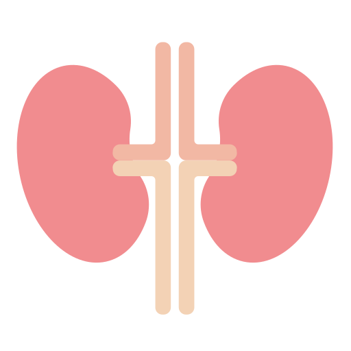 Kidney Generic Flat icon