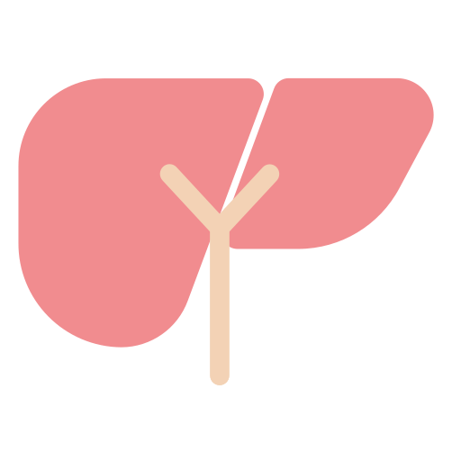 Órgano del hígado Generic Flat icono