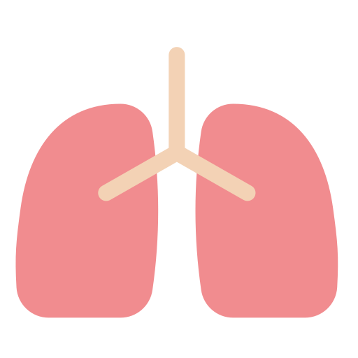 poumons Generic Flat Icône