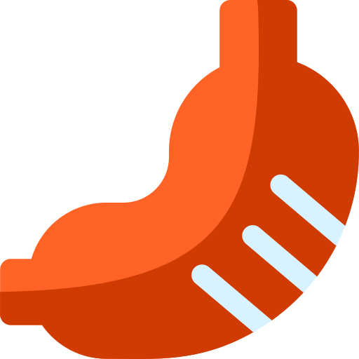 estómago Basic Rounded Flat icono