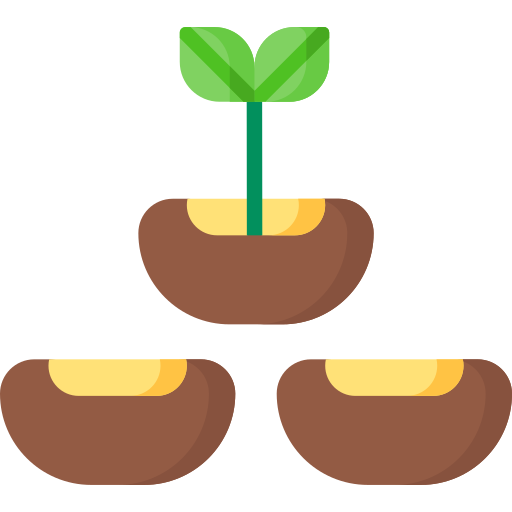 Семена Special Flat иконка