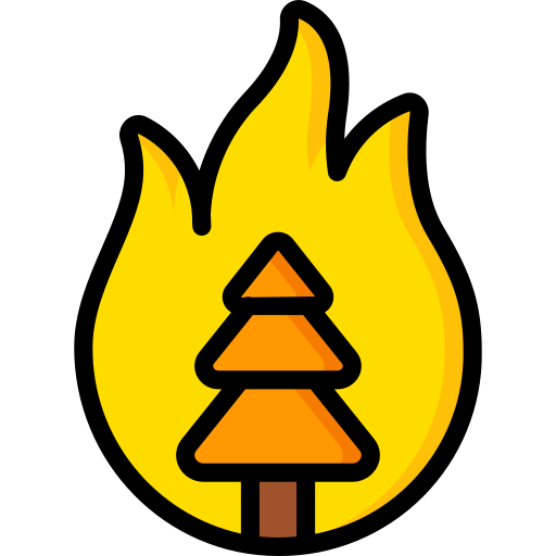 лесной пожар Basic Miscellany Lineal Color иконка
