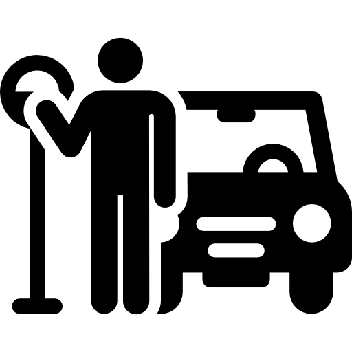 parking Pictograms Fill Icône