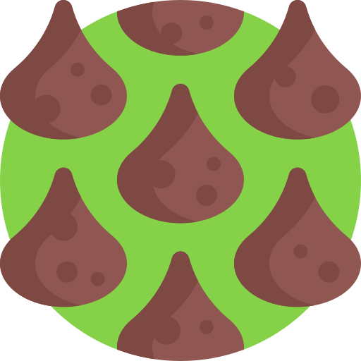 초콜릿 칩 Detailed Flat Circular Flat icon