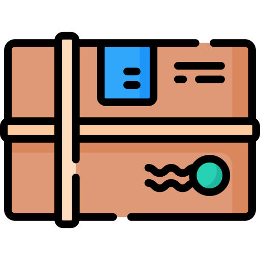 Delivery box Special Lineal color icon