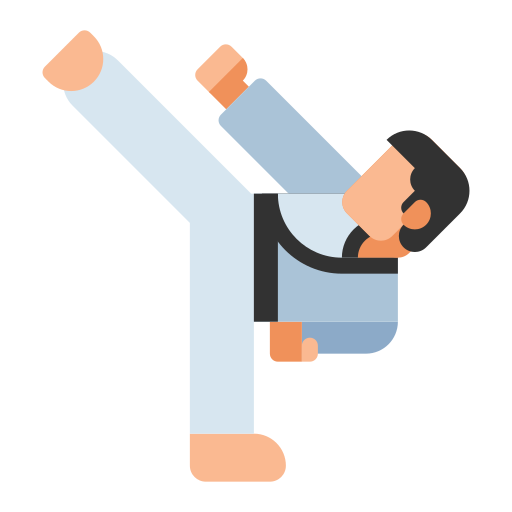 taekwondo Flaticons Flat icono