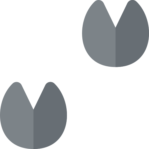 Footprint Basic Rounded Flat icon