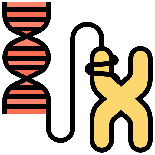 chromosoom Meticulous Lineal Color icoon