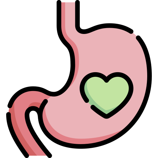 Stomach Special Lineal color icon