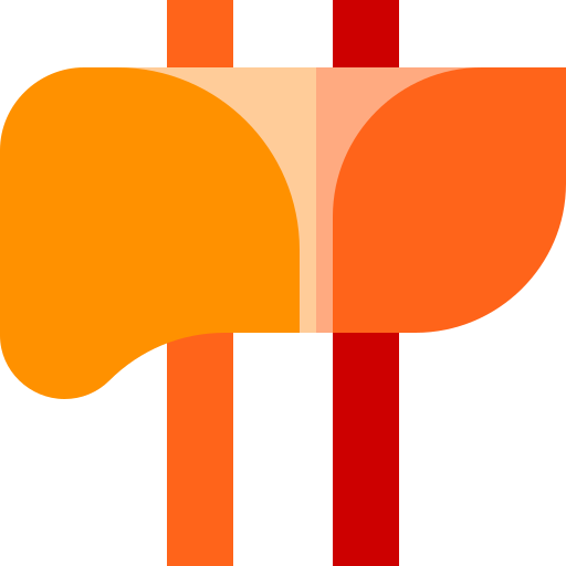 Liver Basic Straight Flat icon