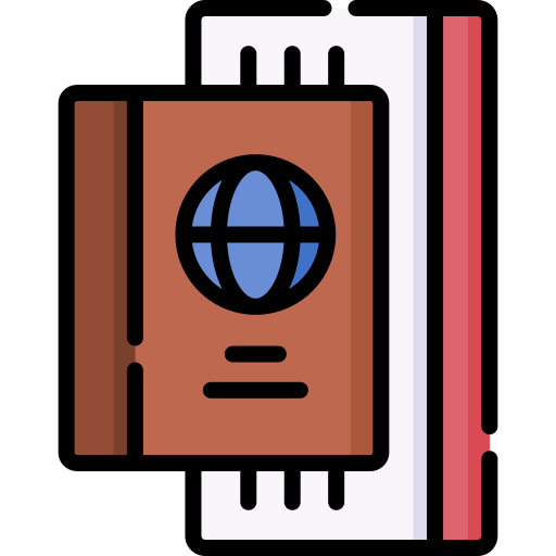 Заграничный пасспорт Special Lineal color иконка