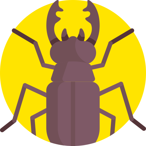 Beetle Detailed Flat Circular Flat icon