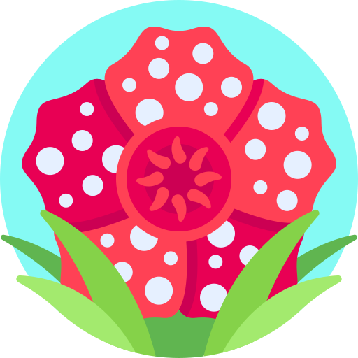 rafflesia Detailed Flat Circular Flat icon