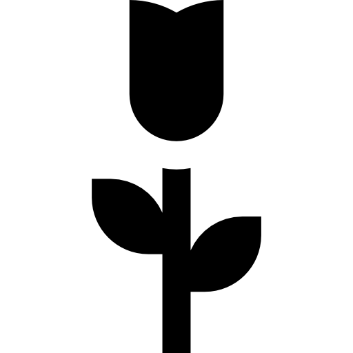 róża Basic Straight Filled ikona