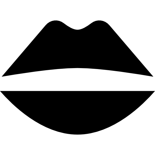 Kiss Basic Straight Filled icon