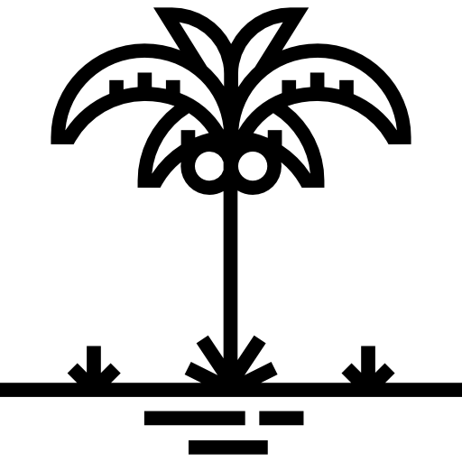 palmera Detailed Straight Lineal icono