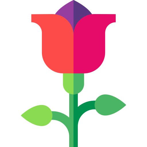 róża Basic Straight Flat ikona