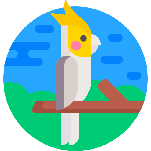 cacatúa Detailed Flat Circular Flat icono