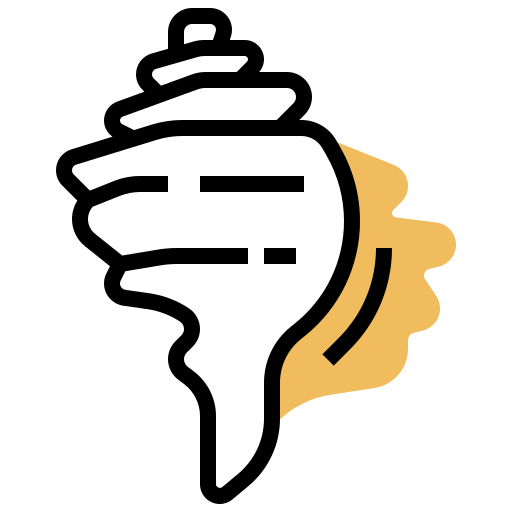 Seashell Meticulous Yellow shadow icon