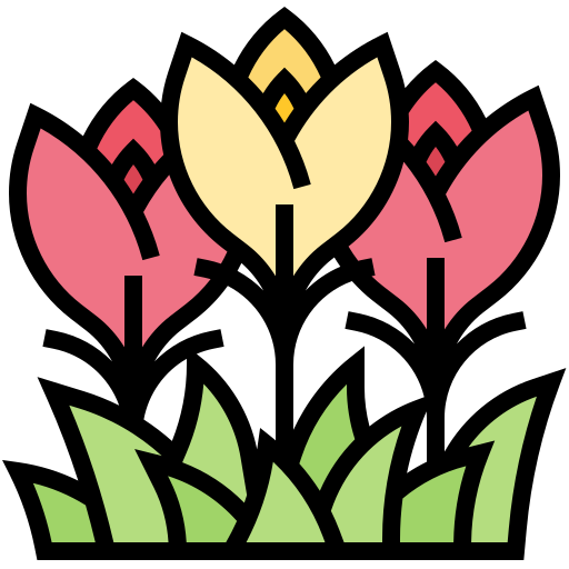 Flower Meticulous Lineal Color icon