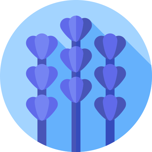 Lavender Flat Circular Flat icon