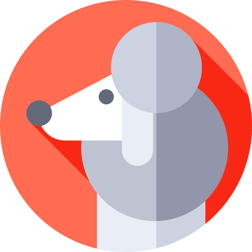 Poodle Flat Circular Flat icon