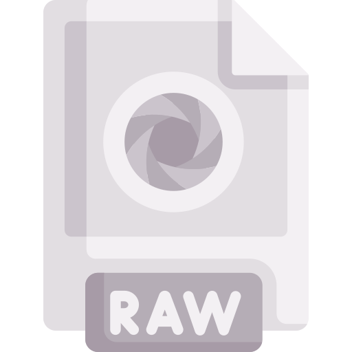 Raw file Special Flat icon