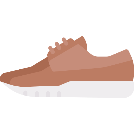 scarpa da ginnastica Special Flat icona