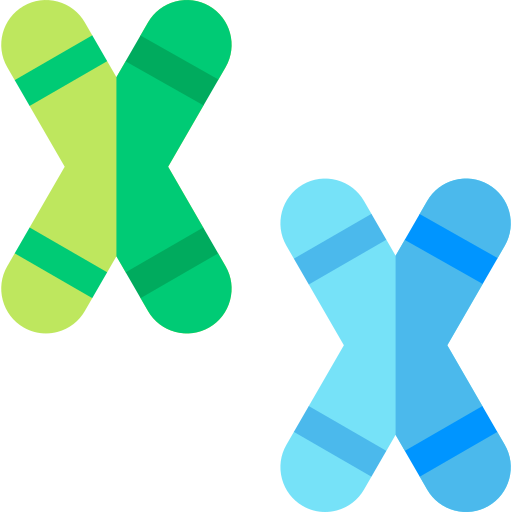 cromosomas Basic Rounded Flat icono