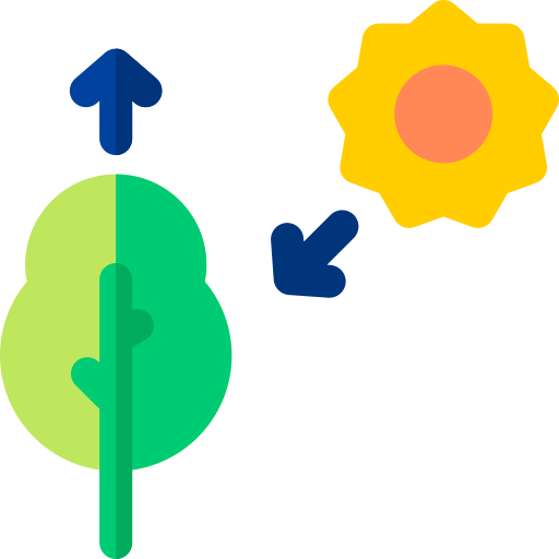 Photosynthesis Basic Rounded Flat icon